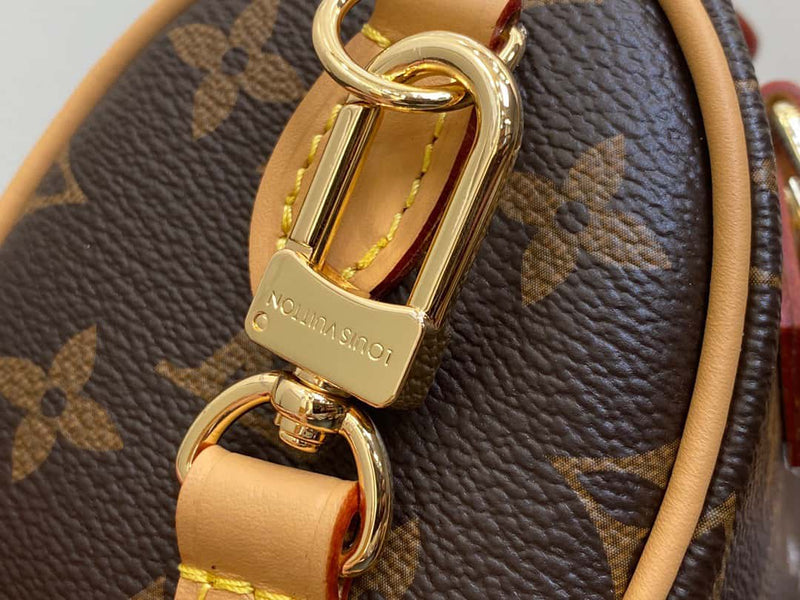 Bolsa Louis Vuitton Speedy Nano