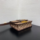 Bolsa DIOR 30 MONTAIGNE