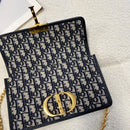 Bolsa DIOR Oblique 30 MONTAIGNE