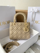 Bolsa DIOR LADY 20CM