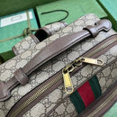 Bolsa Gucci Ophidia