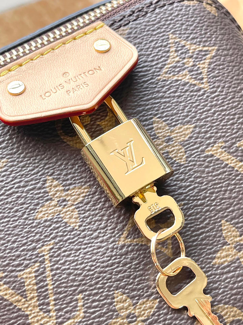 Bolsa Louis Vuitton