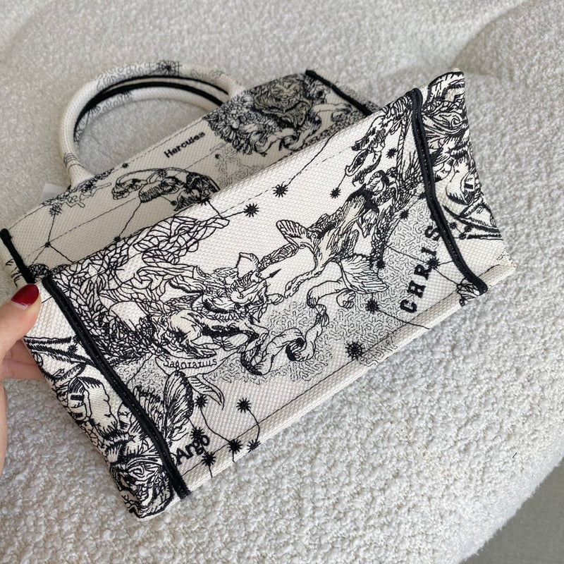 Bolsa Dior SMALL BOOK TOTE