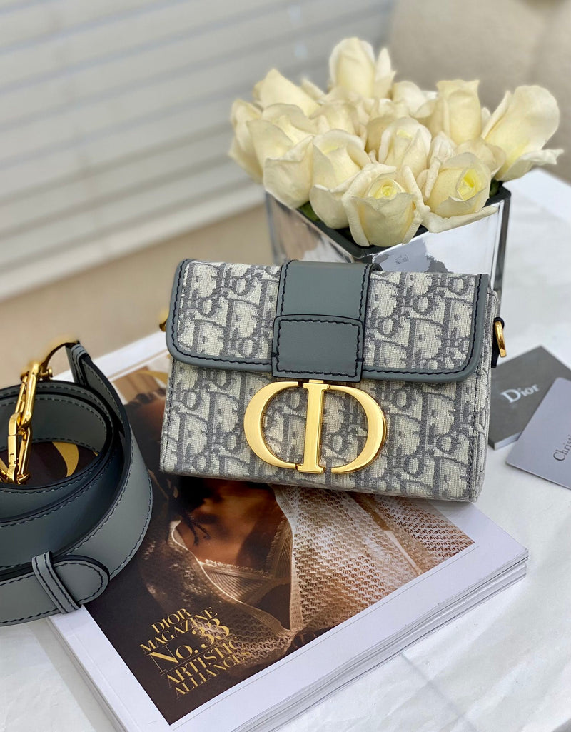Bolsa DIOR Oblique 30 MONTAIGNE