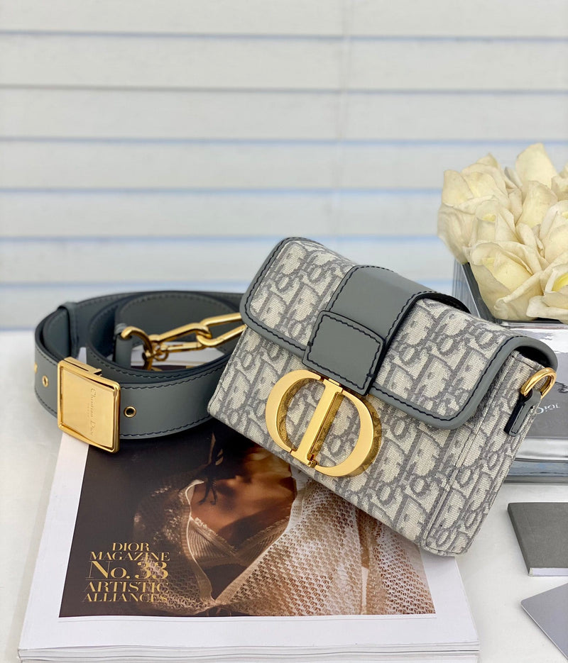 Bolsa DIOR Oblique 30 MONTAIGNE