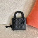 Bolsa DIOR LADY 17CM