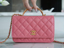 Bolsa CHANEL 22P