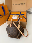 Bolsa Louis Vuitton M46196 Ellipse PM