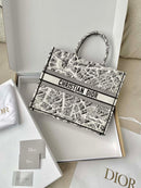 Bolsa Dior 23 Summer "Paris Map"