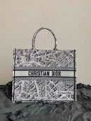 Bolsa Dior 23 Summer "Paris Map"