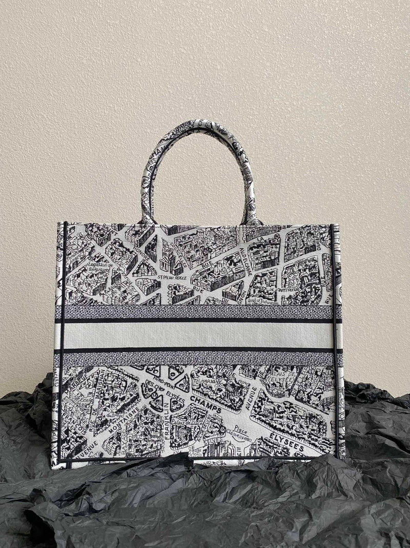 Bolsa Dior 23 Summer "Paris Map"