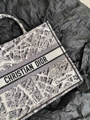 Bolsa Dior 23 Summer "Paris Map"