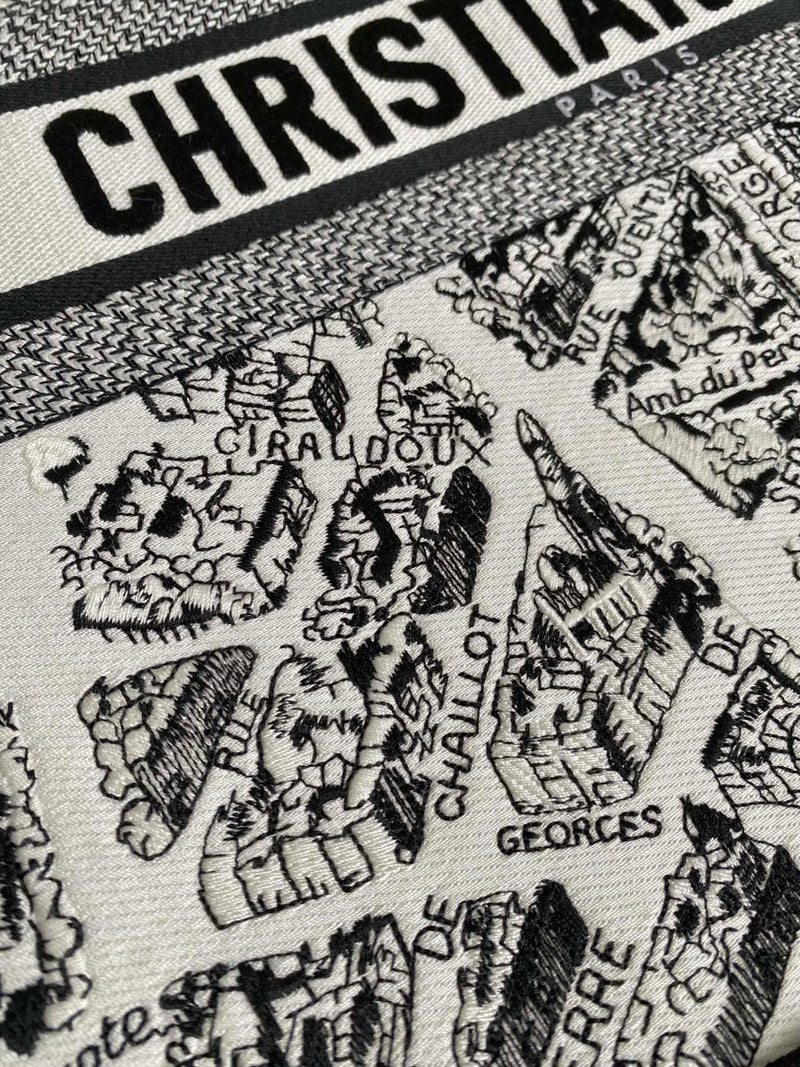 Bolsa Dior 23 Summer "Paris Map"