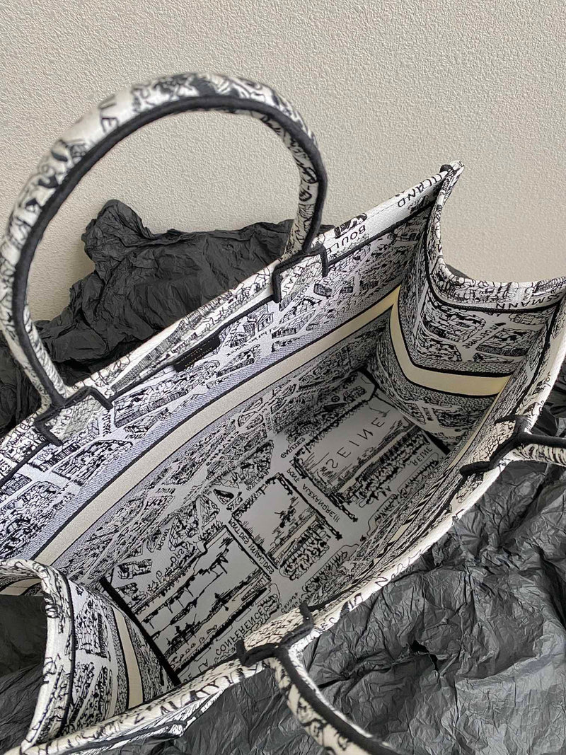 Bolsa Dior 23 Summer "Paris Map"